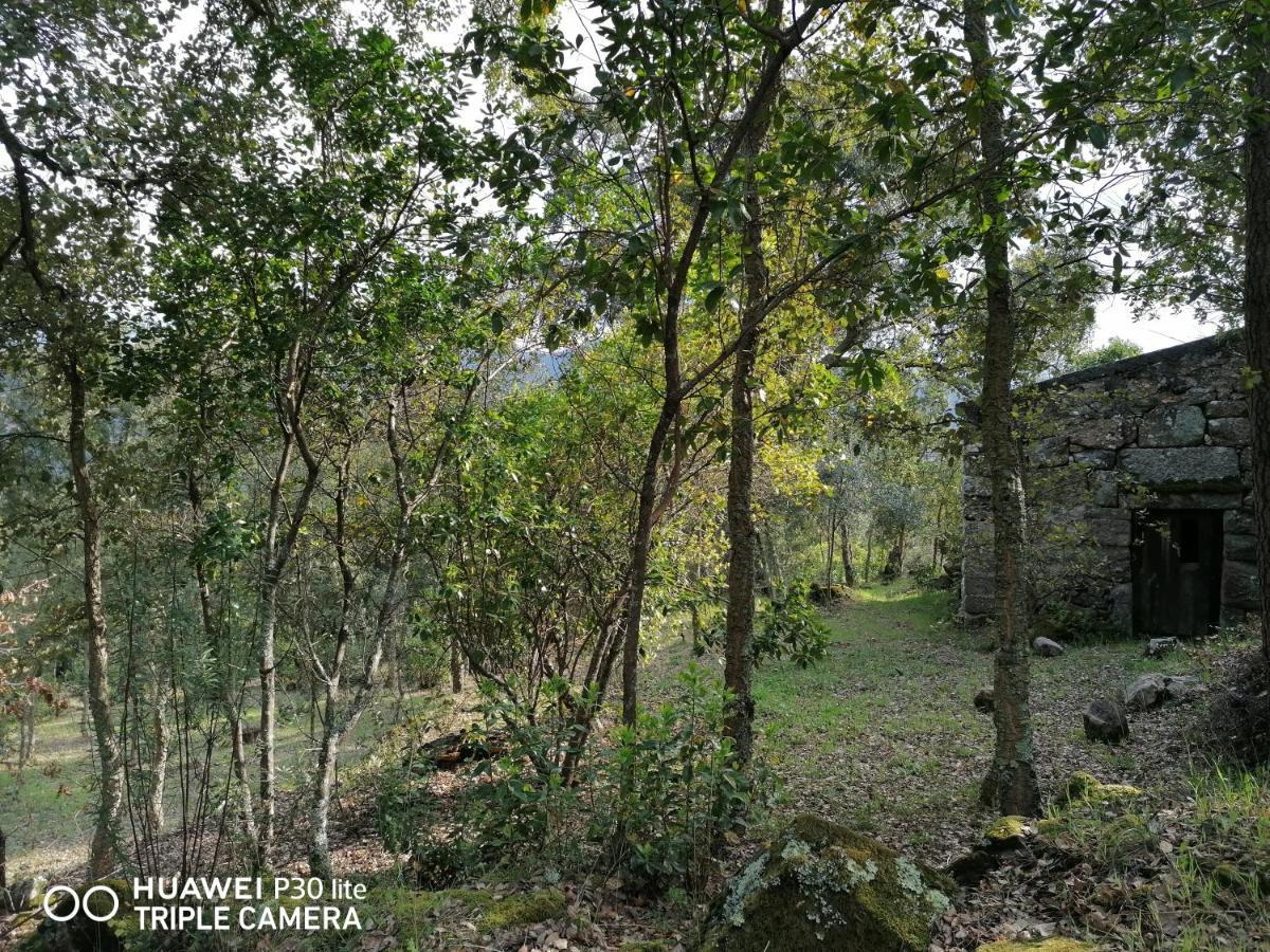Casa Douro Terrace Villa Baião Exteriör bild