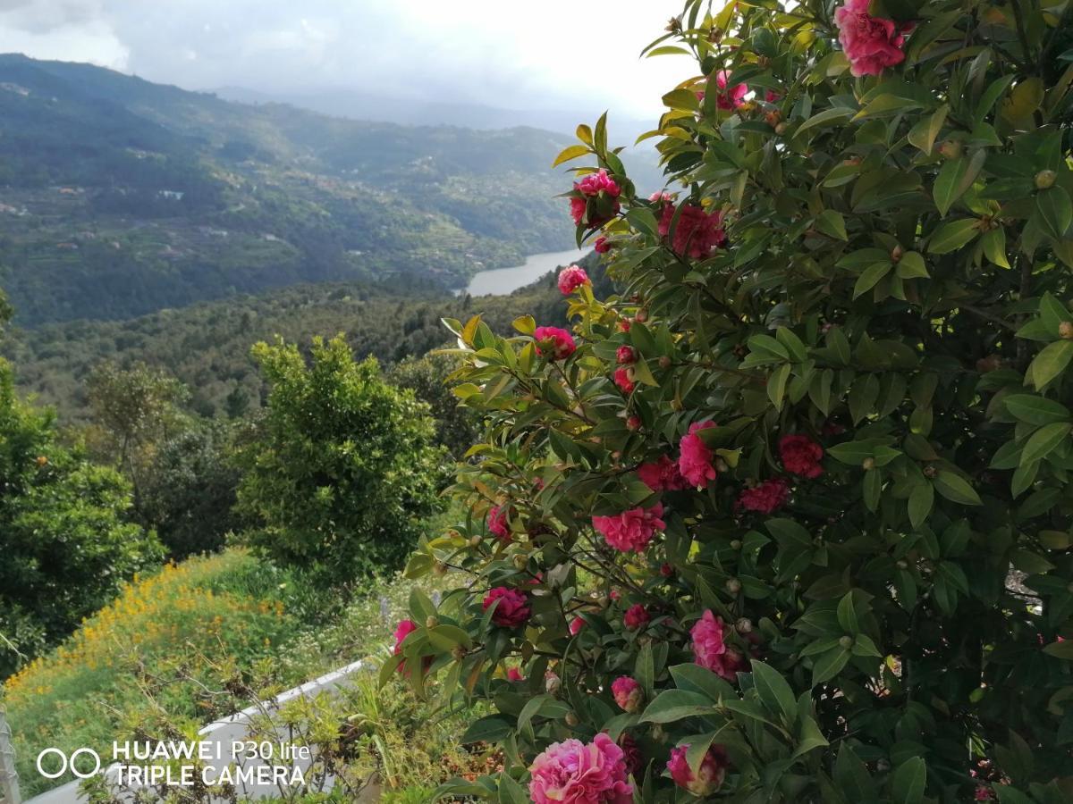 Casa Douro Terrace Villa Baião Exteriör bild